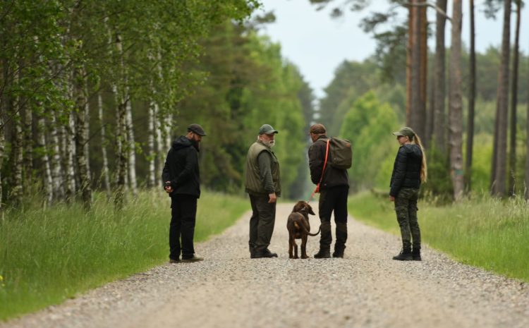 Krajowy konkurs tropowców dla ogarów i gończych polskich – Sarniak 12.06.2021 r.